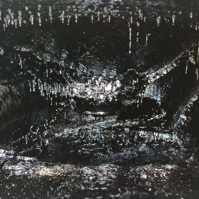 6dzAWu2NtW9QBqM's profile picture. 