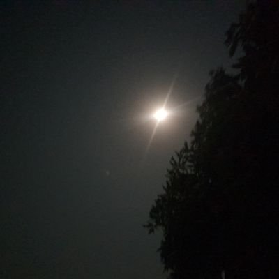 Sach_ki_awaz007's profile picture. हाप पैंट की बकैती  !!!