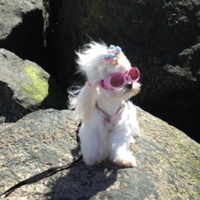 jjeneryio's profile picture. my 🏁 data scientists 💙 | รีวิวไอเทมที่ใช้😽 | ป้ายยาไอเทมที่ใช้