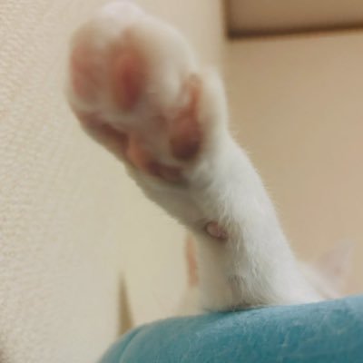 ひとまとさんのプロフィール画像