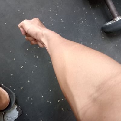 Manly to Manly