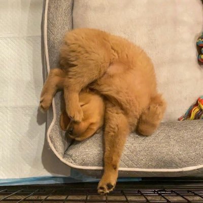 marmarmumar's profile picture. goal:arch สจลมาหากันได้มั้ยถือว่าขอ