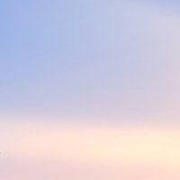 まちゅぴちゅ (@machuchu____) 's Twitter Profile