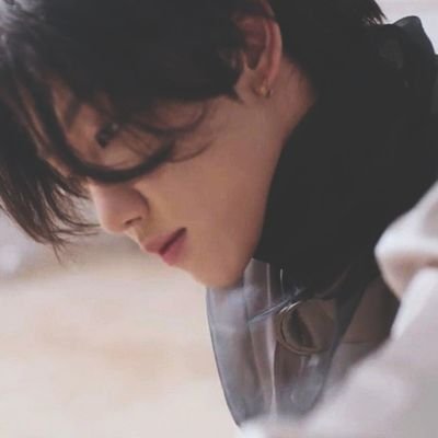 PetalPulses's profile picture. May your trials end in full bloom.