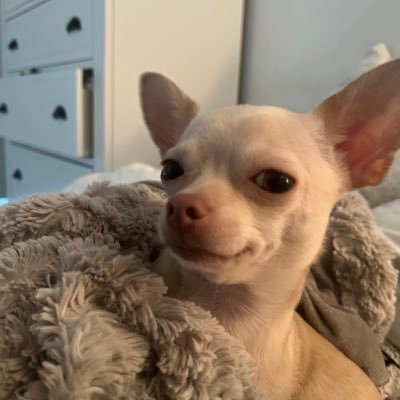 mattdamonloki's profile picture. “My pronouns are icon and legend.” -Nicole Paige Brooks from Atlanta, Georgia.