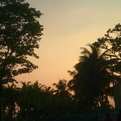 MdNaimulis89740's profile picture. 