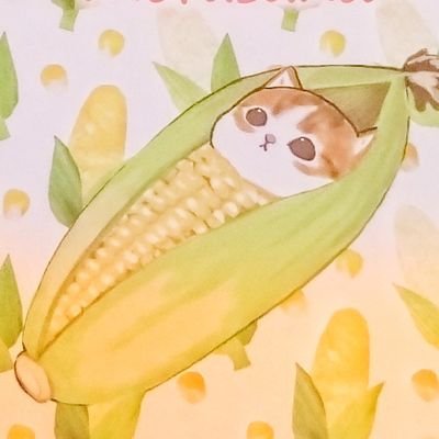 柴子さんのプロフィール画像