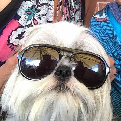 quokkasoccermta's profile picture. 