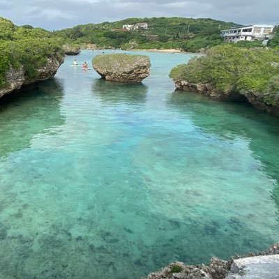 yokopiyo_0322's profile picture. お仕事忙しくマイペース🦛 無言フォロー失礼します😌怪談全般 #ガンジー横須賀 #がんひび #たまべー 👻 #柴山斐子 さん🥕