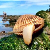 kernowboy71 🇪🇺🚴 (@kernowboy71) 's Twitter Profile