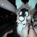 Charlie 🔜 FWA (@chaoticwolfvibe) Twitter profile photo Charlie 🔜 FWA (@chaoticwolfvibe) Twitter profile photo