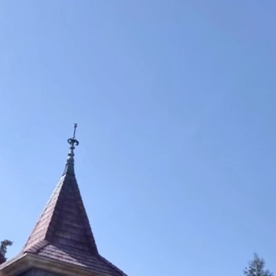 kamusanw's profile picture. 取引垢 20⤴︎︎︎