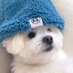 MERO (@jb64_fl5) Twitter profile photo MERO (@jb64_fl5) Twitter profile photo