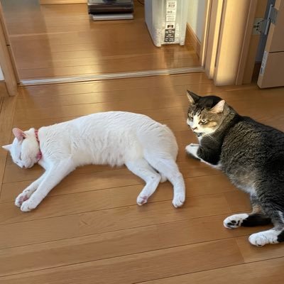 GF(グフ) 下請けの人さんのプロフィール画像