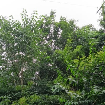 lxh63712's profile picture. 