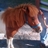 fiestasdepeon's profile image