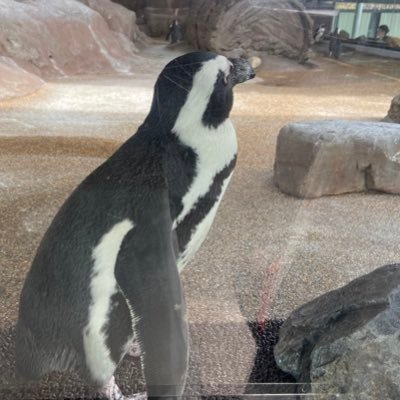 gfUiGMPgzu85599's profile picture. 26卒 出版就活