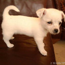 marion wilke - @marionboswinkel - Twitter