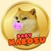 BABYKABOSU (@babacoinbsc) Twitter profile photo BABYKABOSU (@babacoinbsc) Twitter profile photo