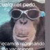David Castellanos (@cxdeculicagados) Twitter profile photo David Castellanos (@cxdeculicagados) Twitter profile photo