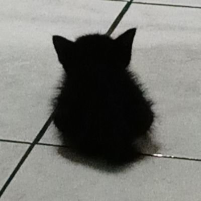 Louippy05's profile picture. 