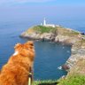 jacquihill18's profile picture. Nature and landscape photographer,  
Love Charlie my Welsh Sheepdog 🐕😍

❤  Everything Welsh  🏴󠁧󠁢󠁷󠁬󠁳󠁿🏴󠁧󠁢󠁷󠁬󠁳󠁿
Bleakholt Animal sanctuary