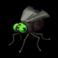 MUTATIO $FLIES (@mutatio_flies) 's Twitter Profile Photo MUTATIO $FLIES (@mutatio_flies) 's Twitter Profile Photo