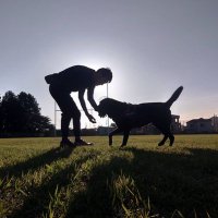 Shoji (@a9f03f3897f246e) 's Twitter Profile