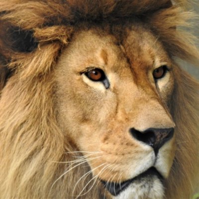 以下のまとめブログを運営しております。
芸能情報全般系の時事情報(特に、アイドル、女優)
よろしくお願いいたします。