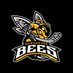 TSI World Berkshire Bees (@BeesIceHockey) Twitter profile photo