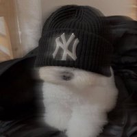 モチモチおもち (@freshomoti) Twitter profile photo