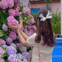 しほ (@shiho1331907) 's Twitter Profile