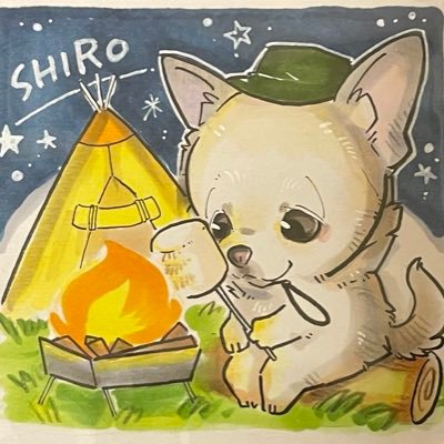 愛犬シロのイラストが可愛らしいのでアイコンにしてますが、ポストしている飼い主は可愛くないオヤジです。キャンプ大好き。🐦→キャンプ🏕🍶/家族👩🏻👧🏻🐶 /酒肴🍶🍲/F1(角田推し)など フォロー後即DMいただいたら即ブロ解!