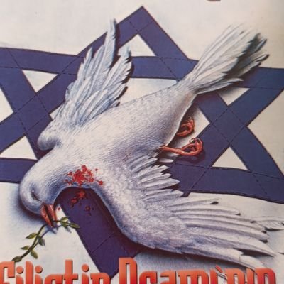 Mucahit15920's profile picture. Ayetlerimizi afakta (ruhumuzun baş gözüyle) ve enfüste (nefsimizin kalp gözüyle) onlara göstereceğiz.
 
                                           FUSSİLET 53