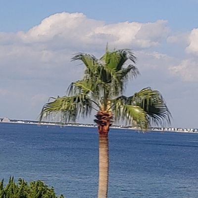 cDkEGccwCSWn9hL's profile picture. 