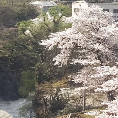 横田 祐（姫坂／レーシュ）さんのプロフィール画像