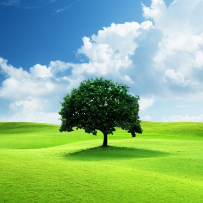 SGugai's profile picture. Music is therapy Beats are my heartbeat