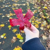 Dr. Hawra Adnan, PhD (@ghaflihawra) 's Twitter Profile