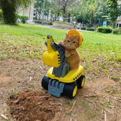 SmgirlsS's profile picture. Kang Daniel Wanna one SNSD Blackpink Red Velvet Exo SHINee SJ 🖤