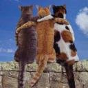 Melody20ye's profile picture. Sewing queen  | Fabric hoarder  | Creating magic one stitch at a time  | Lover of all things handmade and vintage  #Sewcialist