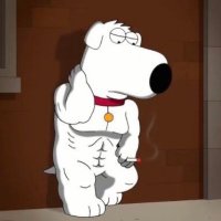 🥺😭😹 (@__eqss__) 's Twitter Profile Photo