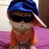 PETTYSHA JENKINS (@_mirage2004) 's Twitter Profile