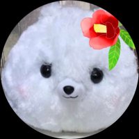 みれい (@nana_mirei) 's Twitter Profile