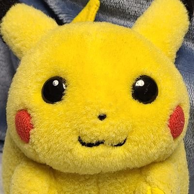 cha_1224's profile picture. 主が小1のクリスマスイブにやってきた初期ピカ⚡️「ちゃあ」と仲間たちのぬい撮り📸(ポケモン以外も出るかも) | 生活感あふれたぬい撮りが中心 | コミュ障につき無言フォロー失礼します💨(こちらも無言フォローOKです👌)