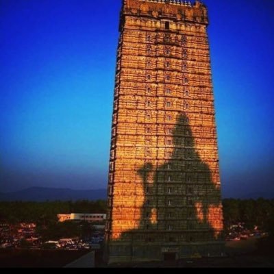 Sanjay531166's profile picture. professional account