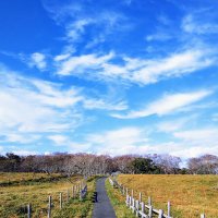 ノブ@アウトドア最高！！ (@nobu_outdoor) Twitter profile photo