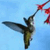 these are my Tweets