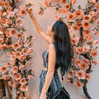 Grace | サリナ (@gracesalinajp) 's Twitter Profile