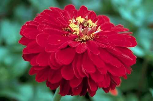 NAurther's profile picture. 