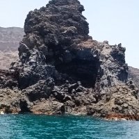 محمد حسن (@mmdsn314588) 's Twitter Profile